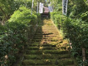 鎌倉にも城があった!源平・南北朝の夢の跡…城ぶら「杉本城」