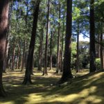 城ぶら「飫肥城」！島津・伊東の因縁を鎮める飫肥杉の木立