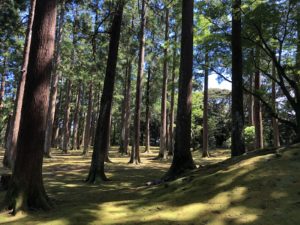 城ぶら「飫肥城」！島津・伊東の因縁を鎮める飫肥杉の木立