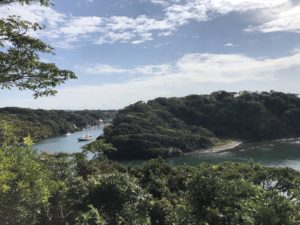 城ぶら「新井城」！北条対三浦再び…北条早雲と三浦父子、3年に及ぶ執念の籠城戦