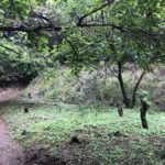 城ぶら「明徳寺城」！真田昌幸が急襲した真田vs北条攻防の城