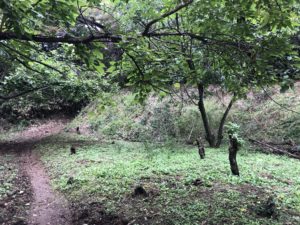 城ぶら「明徳寺城」！真田昌幸が急襲した真田vs北条攻防の城