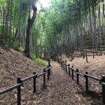 城ぶら「小机城」！空堀好きにはたまらない…横浜の戦国城址