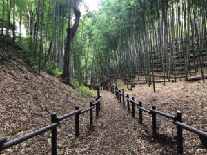 城ぶら「小机城」！空堀好きにはたまらない…横浜の戦国城址