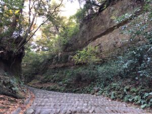 "高天神を制するものは遠州を制す"家康対勝頼「高天神城」をめぐる激戦の果て