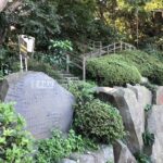 城ぶら「荒井城」！源氏に従った荒井実継の居城か？北条の狼煙も？