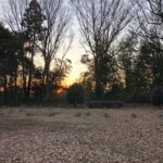 城ぶら「大庭城」！大庭景親の武勇と舟地蔵伝説が残る古城址