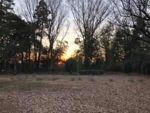 城ぶら「大庭城」！大庭景親の武勇と舟地蔵伝説が残る古城址