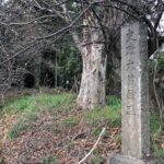 城ぶら「大蔵館跡」！源氏一族の相克はかくも激しく…源義仲生誕の地