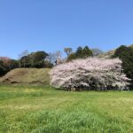 城ぶら「興国寺城」！北条早雲旗揚げから壮絶な奪い合いの舞台となった戦国の城