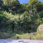 頼朝と政子を支えた安達盛長！鎌倉・伊豆に残る史跡と伝承と