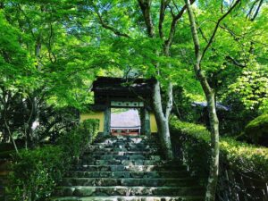 京都大原「寂光院」 建礼門院徳子ゆかり 平家物語の世界へ…