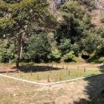 北条義時死す…その墓所は全てを学んだ源頼朝の墓の近くに。鎌倉「法華堂跡」