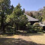 尼御台！建国の母！尼将軍！北条政子ゆかりの鎌倉「寿福寺」「安養院」