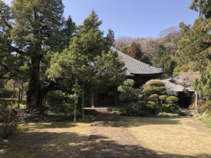 尼御台！建国の母！尼将軍！北条政子ゆかりの鎌倉「寿福寺」「安養院」