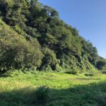 鎌倉にわずかに残る公暁の跡「鶴岡二十五坊跡」実朝暗殺の真犯人は誰か？