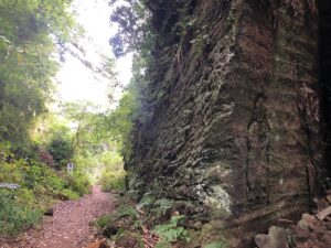 北条泰時ゆかりの鎌倉史跡！日本屈指の名宰相が切り拓いた海陸の道と武家社会の未来