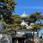 家康を辿る城旅「岡崎城」！戦乱必至の三河に生まれた運命の子…家康生誕の城