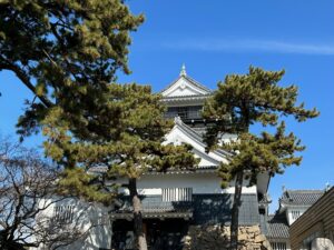家康を辿る城旅「岡崎城」！戦乱必至の三河に生まれた運命の子…家康生誕の城