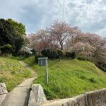 家康を辿る城旅「東条城」！西三河攻略へ"藤波畷の戦い"勇将富永伴五郎と激闘の果て