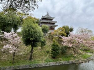 家康を辿る城旅「西尾城」！今川の属将から三河の主へ…家康独立の攻城戦