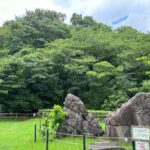 戦国の梟雄・斎藤道三の生涯とは？道三ゆかりの「鷺山城」「道三塚」「常在寺」へ