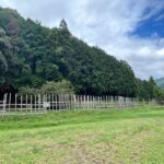 織田・徳川連合軍と武田軍が激突「長篠・設楽原の戦い」！勝敗を決した馬防柵