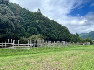 織田・徳川連合軍と武田軍が激突「長篠・設楽原の戦い」！勝敗を決した馬防柵