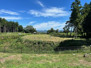 家康を辿る城旅「諏訪原城」！徳川武田攻防の城、圧巻の中馬出を見よ