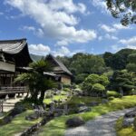 豊臣秀吉没す…一代で栄華を築いた英雄、最後の大舞台「醍醐の花見」