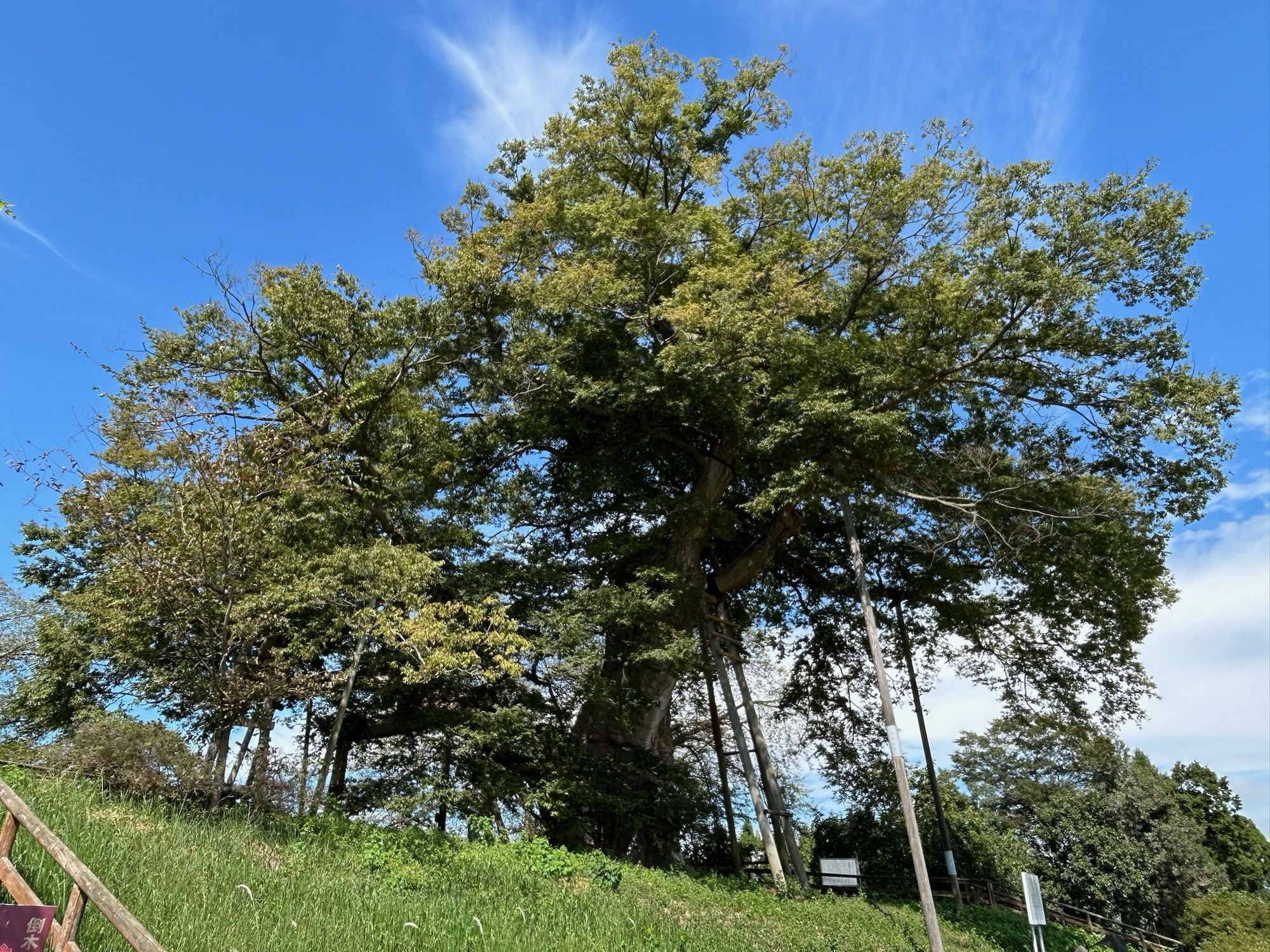 城ぶら「神指城」！関ヶ原へと繋がる幻の巨城跡…景勝、家康、それぞれの思惑は？