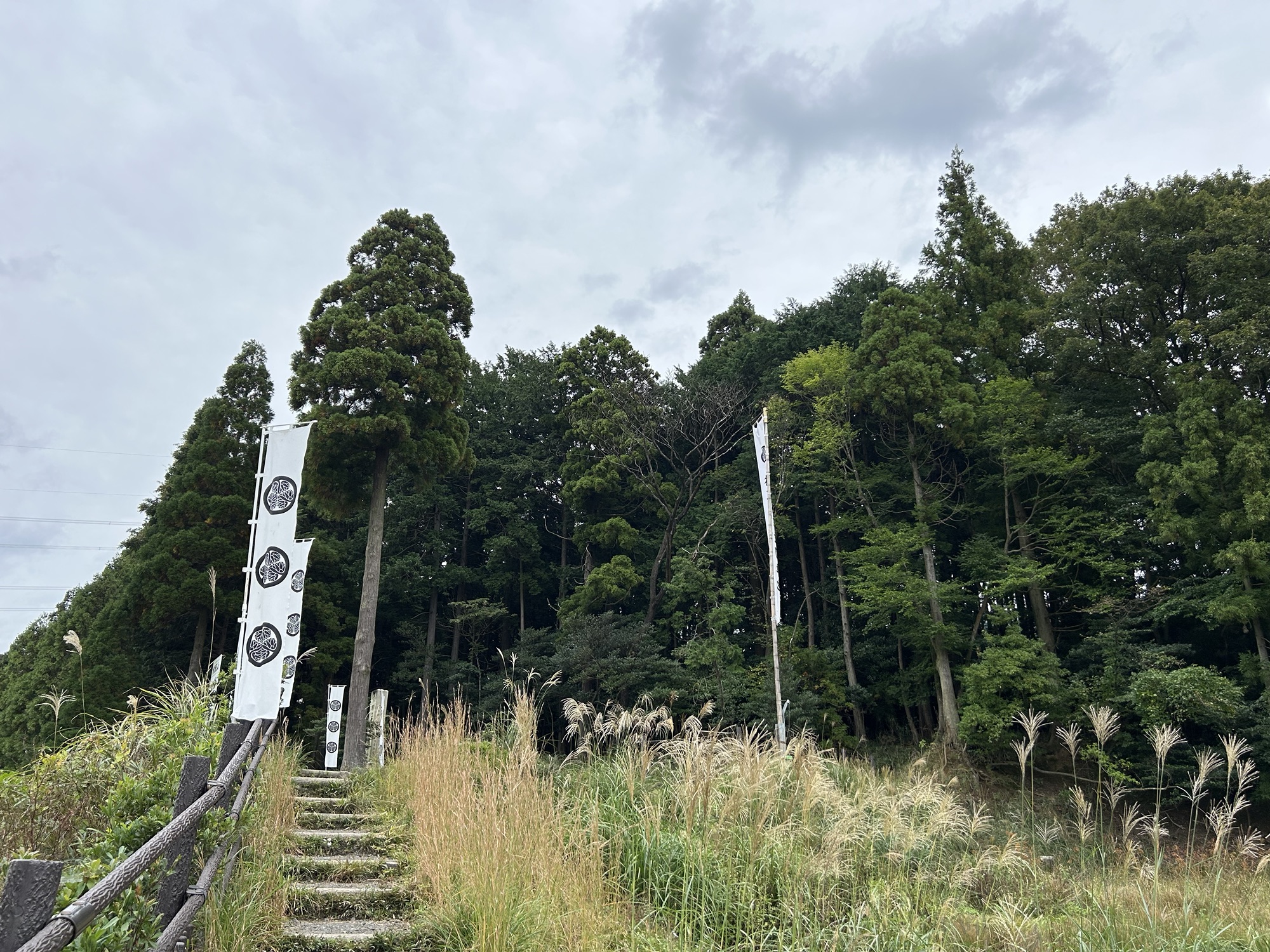 いざ関ヶ原「徳川家康最初陣跡」！家康は古の内乱ゆかりの桃配山に布陣！