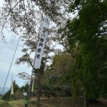 決戦！関ヶ原「小早川秀秋陣跡」！戦いの帰趨を決する松尾山、秀秋離反す！