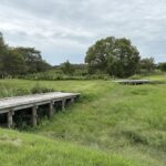 城ぶら「浪岡城」！北の地に残る南北朝の名門・北畠氏のあと…広大な中世の城跡