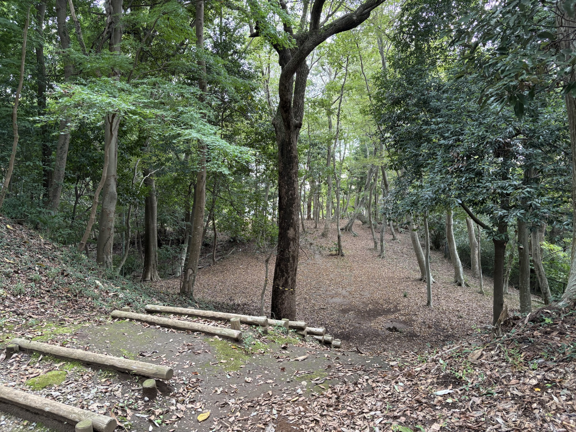 城ぶら「臼井田宿内砦」！住宅街に眠る戦国の遺構…軍神を撥ね退けた臼井城の出城