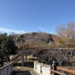 城ぶら「本台山城」（多度津城）！讃岐の名門・香川氏の栄枯盛衰を辿る