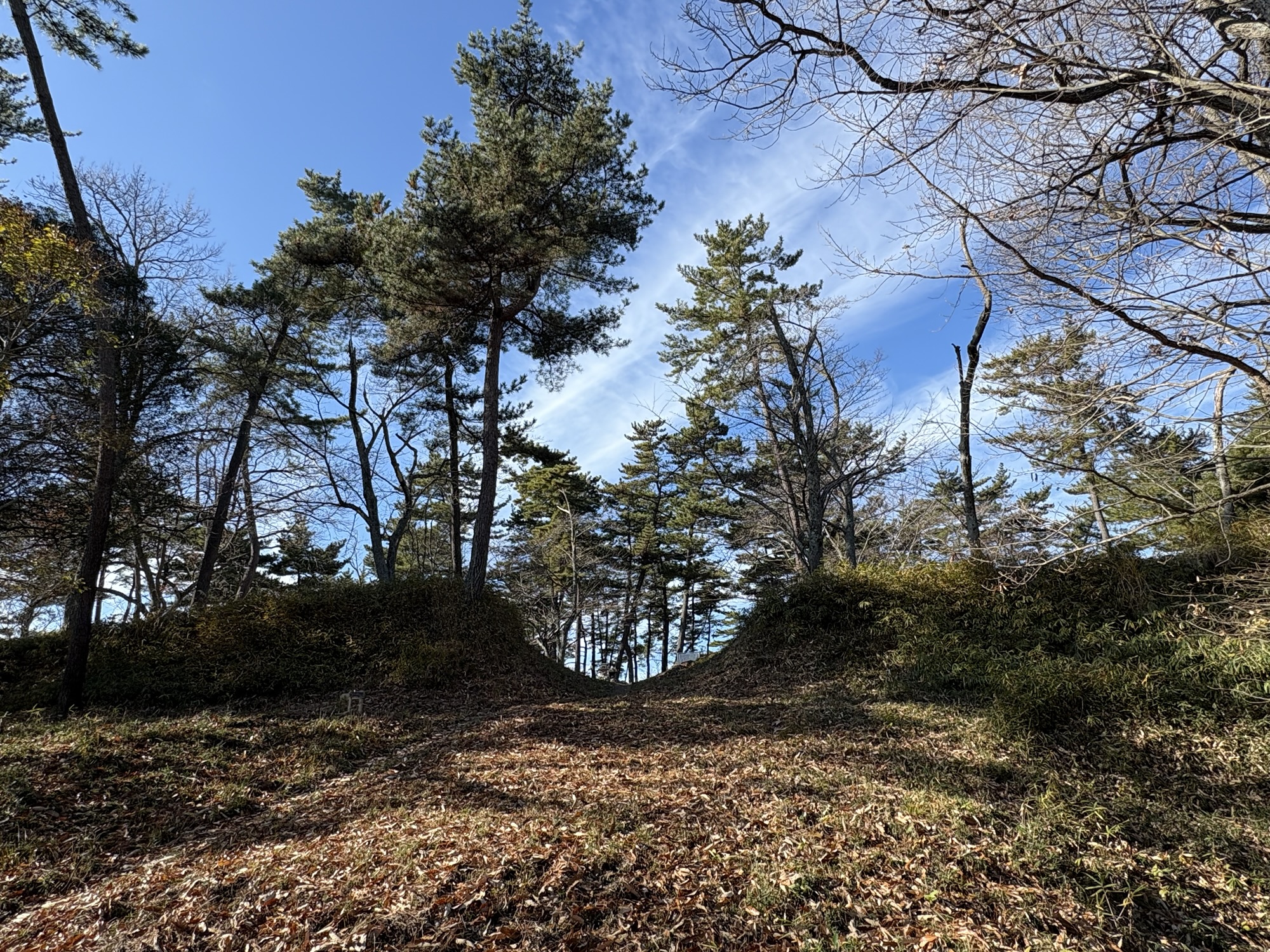 城ぶら「勝賀城」!讃岐の覇者・香西氏の巨大要塞へ。標高364mから望む絶景と歴史の跡